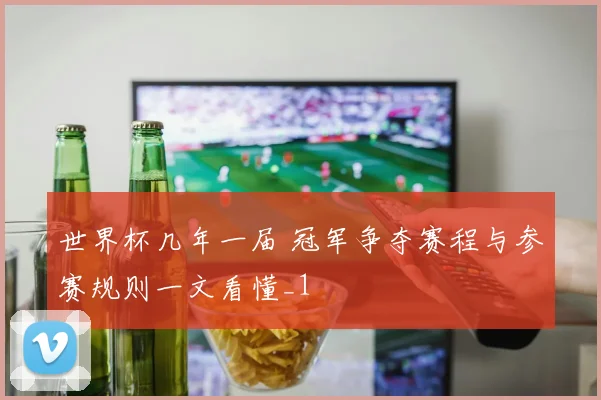 世界杯几年一届 冠军争夺赛程与参赛规则一文看懂_1
