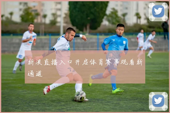 新浪直播入口开启体育赛事观看新通道
