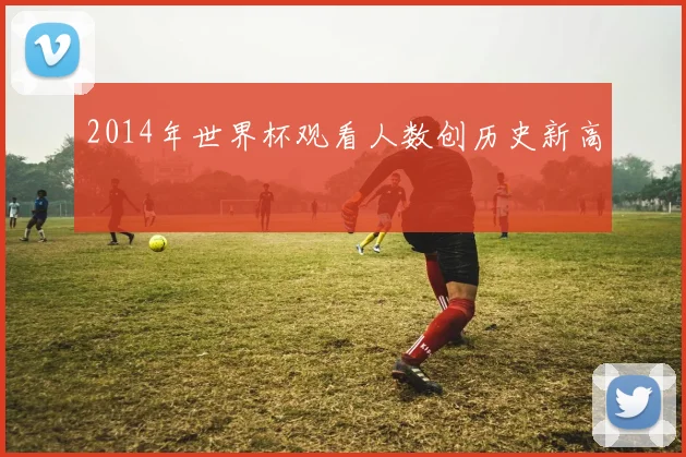 2014年世界杯观看人数创历史新高