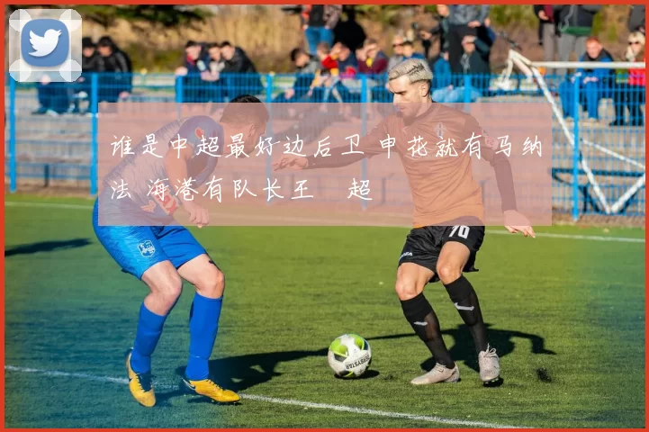 谁是中超最好边后卫 申花就有马纳法 海港有队长王燊超