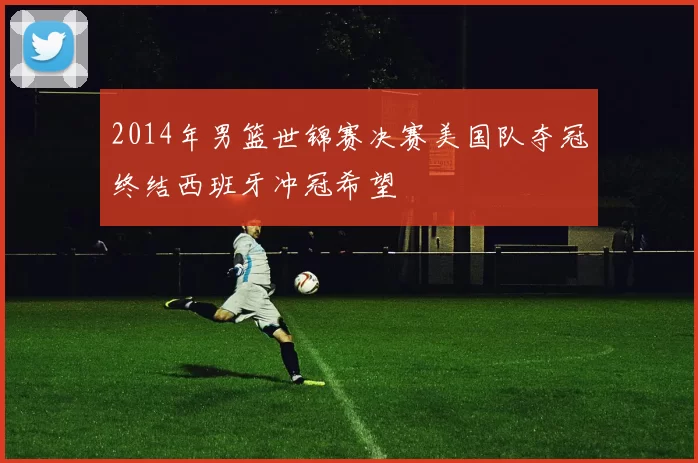 2014年男篮世锦赛决赛美国队夺冠终结西班牙冲冠希望