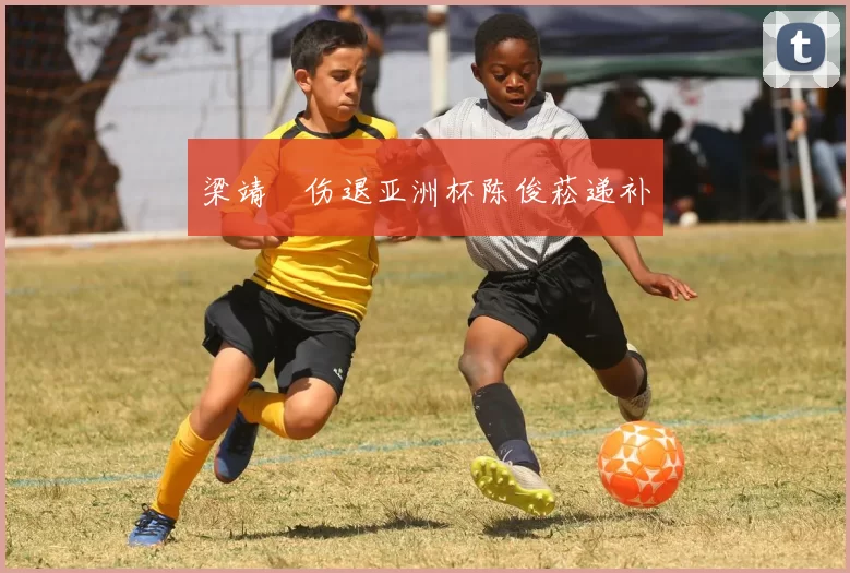 梁靖崑伤退亚洲杯陈俊菘递补